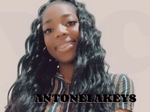 ANTONELAKEYS