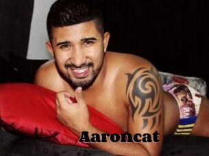 Aaroncat
