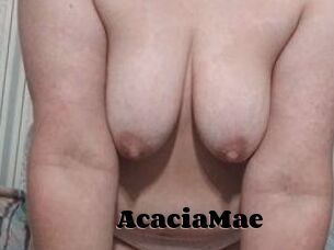 AcaciaMae