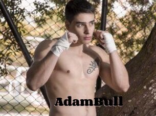 AdamBull
