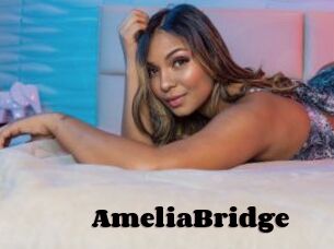 AmeliaBridge