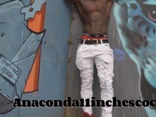 Anaconda11inchescock