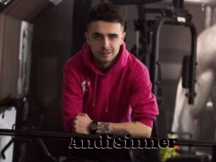 AndiSinner