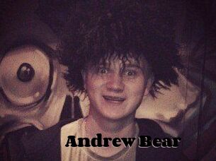 Andrew_Bear