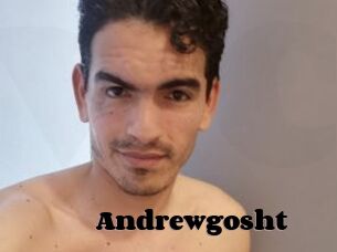 Andrewgosht