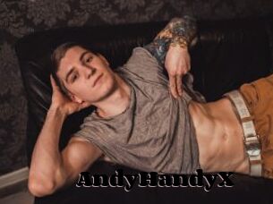 AndyHandyX