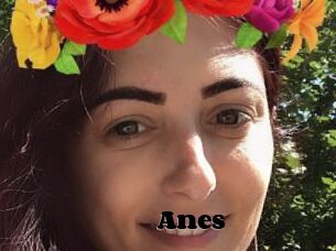 Anes