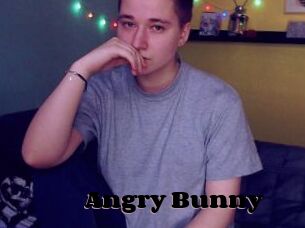 Angry_Bunny