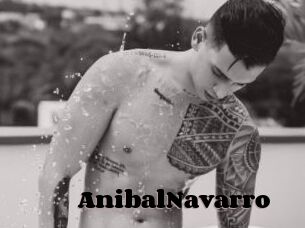 AnibalNavarro