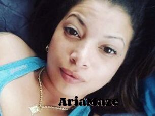 Aria_Maze