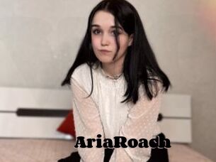 AriaRoach