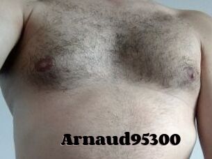 Arnaud95300