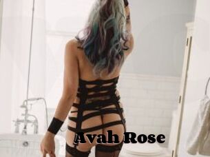 Avah_Rose