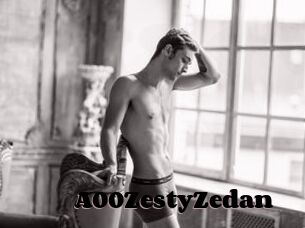 A00ZestyZedan