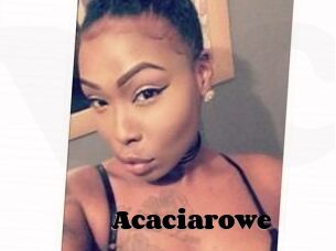 Acacia_rowe