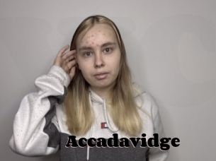 Accadavidge