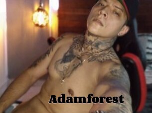 Adamforest