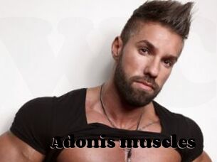 Adonis_muscles