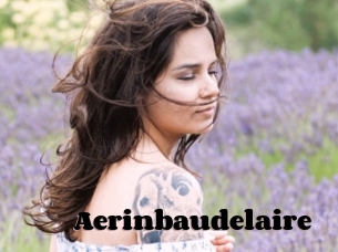 Aerinbaudelaire