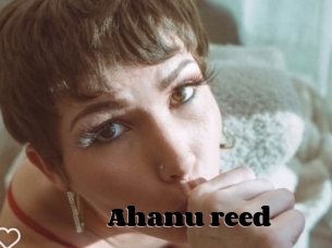 Ahanu_reed