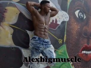 Alexbigmuscle
