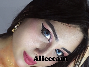 Alicecam