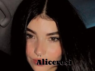 Alicerosi