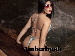 Amberbush
