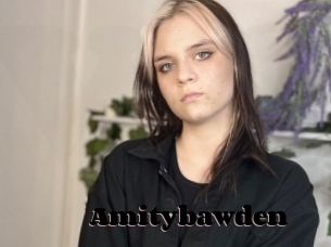 Amitybawden
