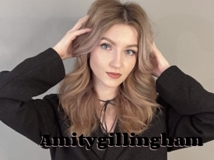 Amitygillingham