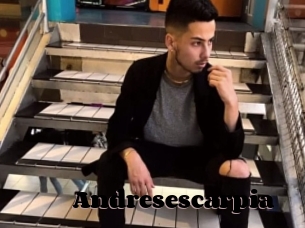 Andresescarpia