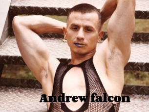 Andrew_falcon