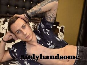 Andyhandsome