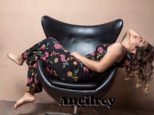 Aneilrey