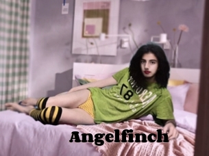 Angelfinch