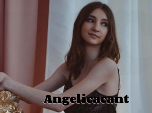 Angelicacant