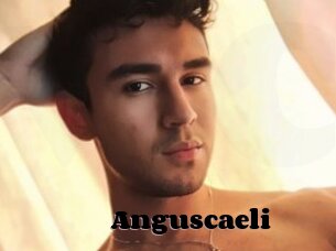 Anguscaeli