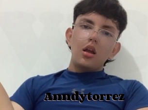 Anndytorrez