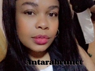 Antarabrunet