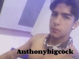 Anthonybigcock