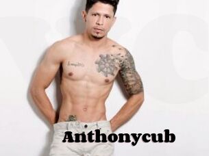 Anthonycub