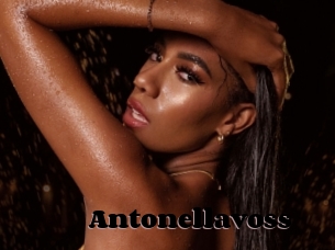 Antonellavoss