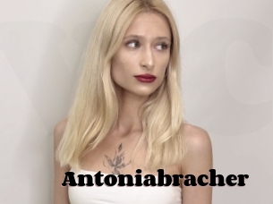 Antoniabracher