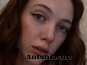 Antoniacure