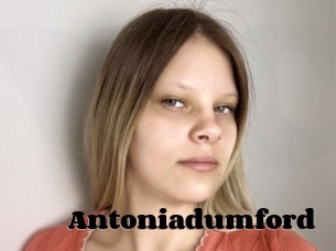 Antoniadumford