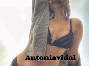 Antoniavidal