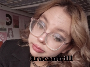 Aracantrill