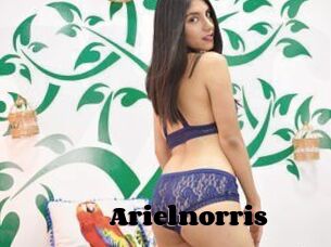 Arielnorris