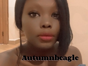 Autumnbeagle