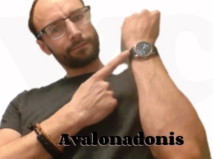 Avalonadonis